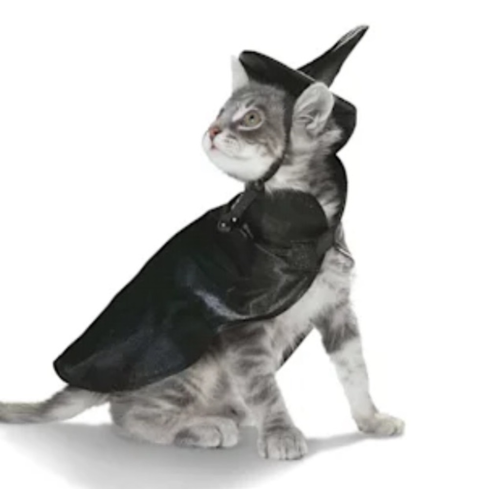 NWT Cat Witch Halloween costume XS